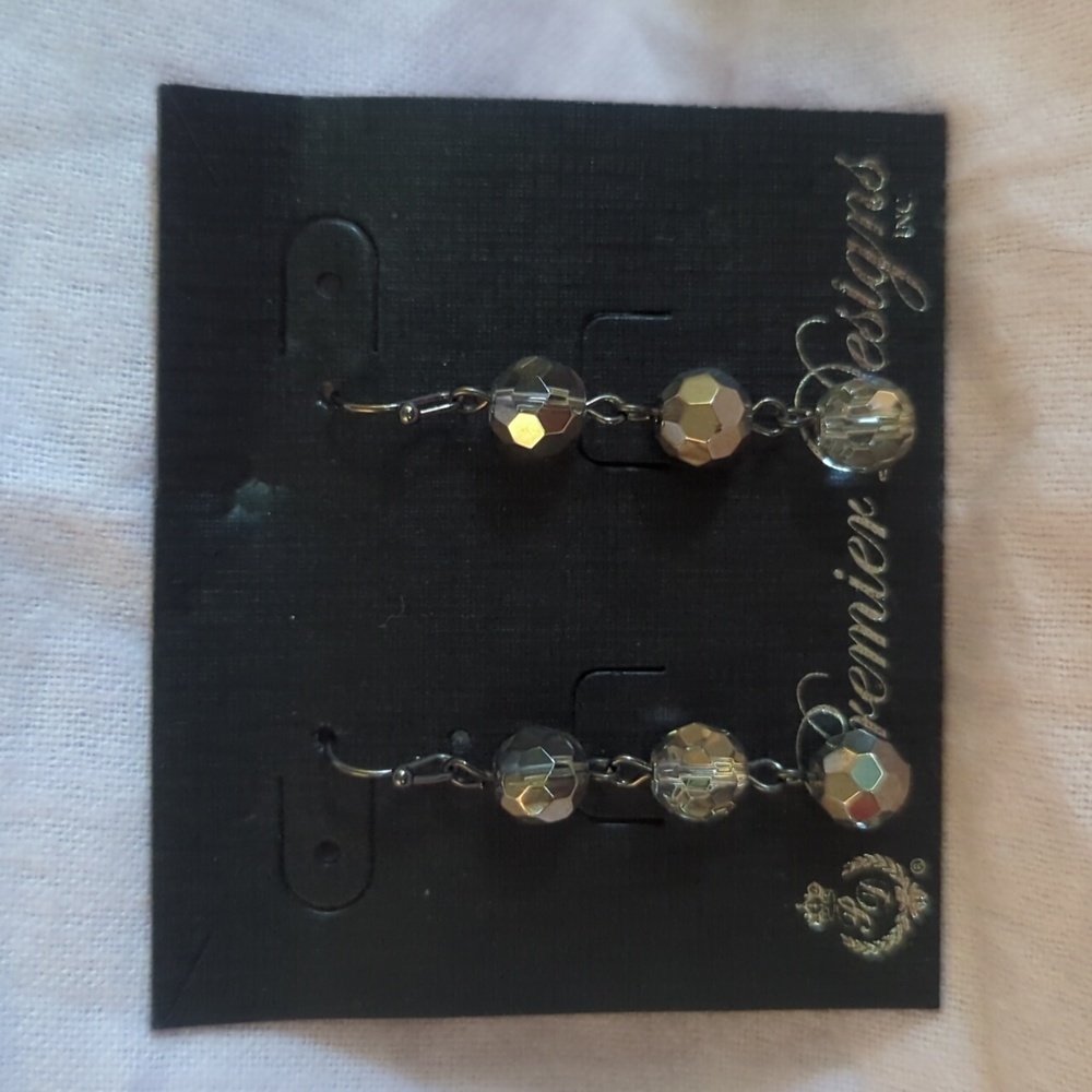 NWOT Premier Designs Downtown Earrings
